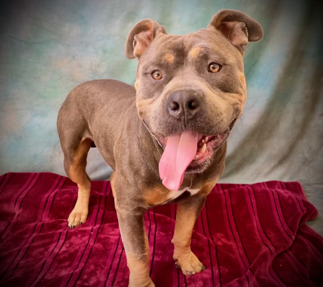 Tyson