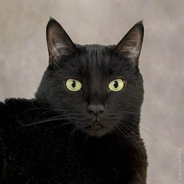 Vader