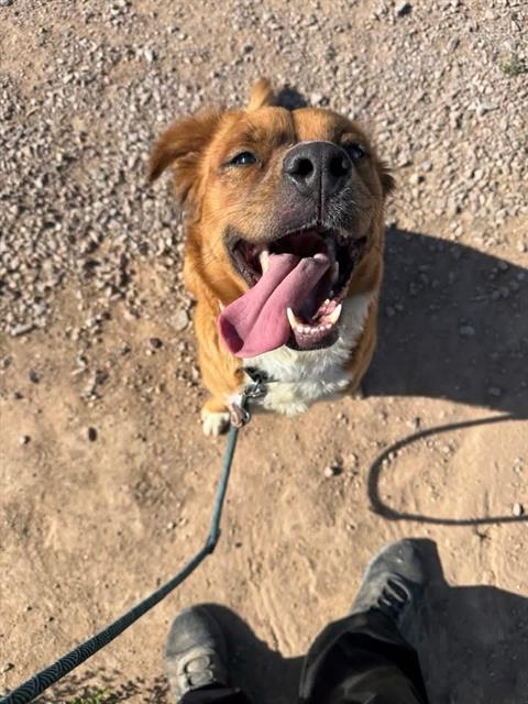 Coco