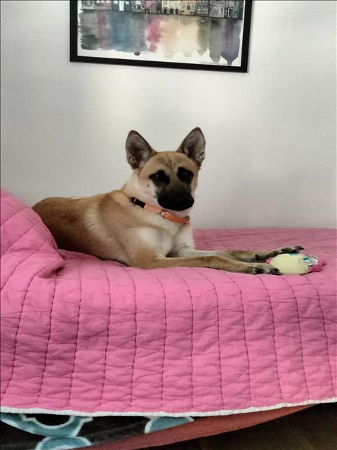Nala