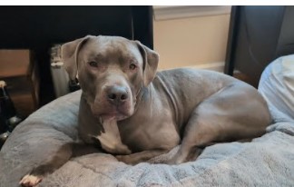 Roscoe