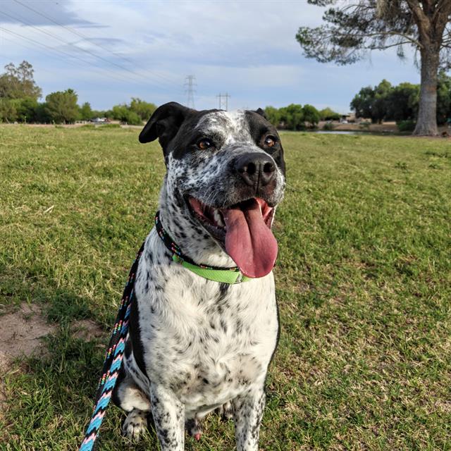 Duke
