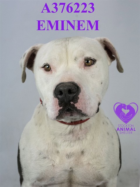 Eminem