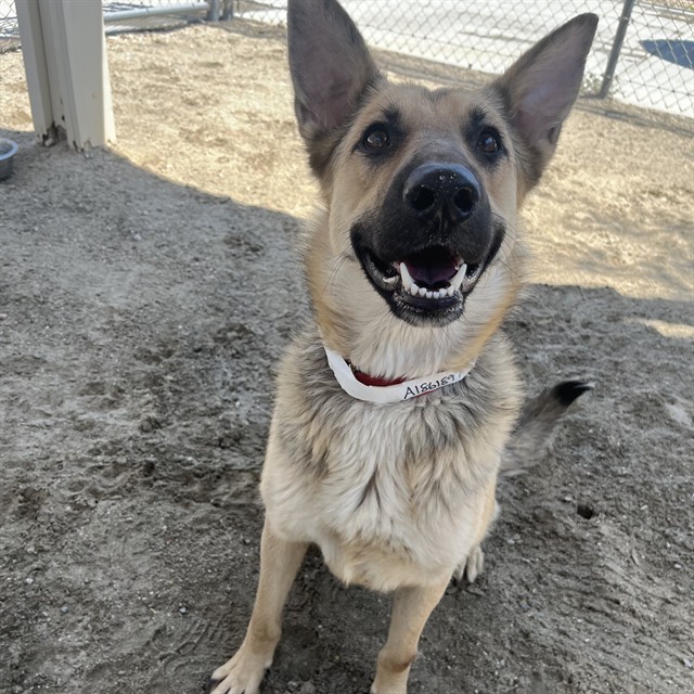 Luna