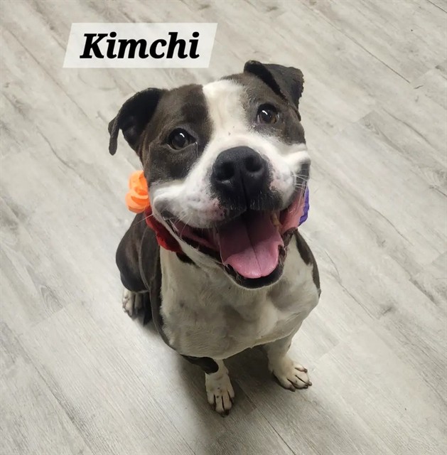 Kimchi