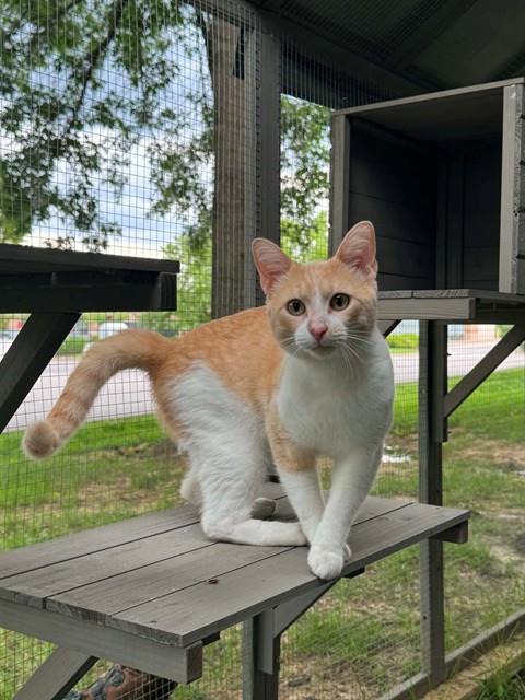Duncan