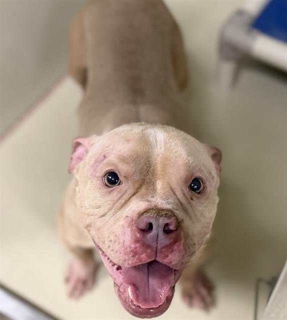 Margarita- In Foster
