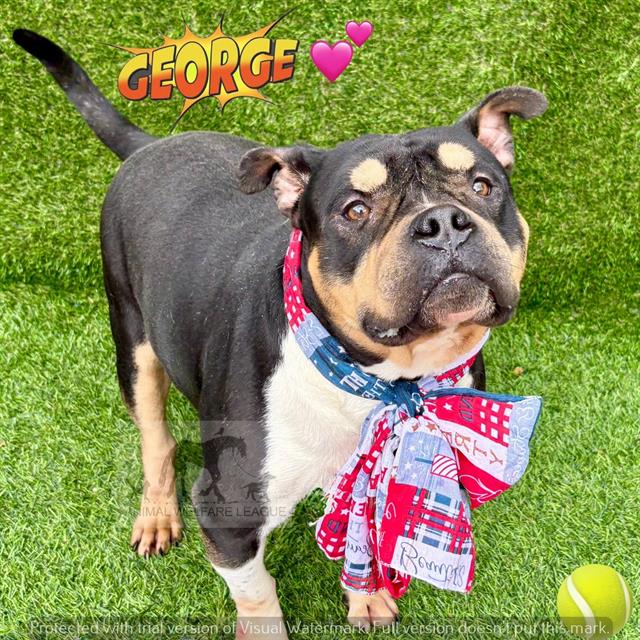 George