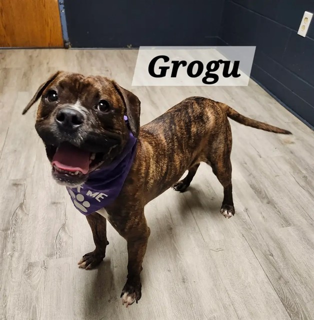 Grogu