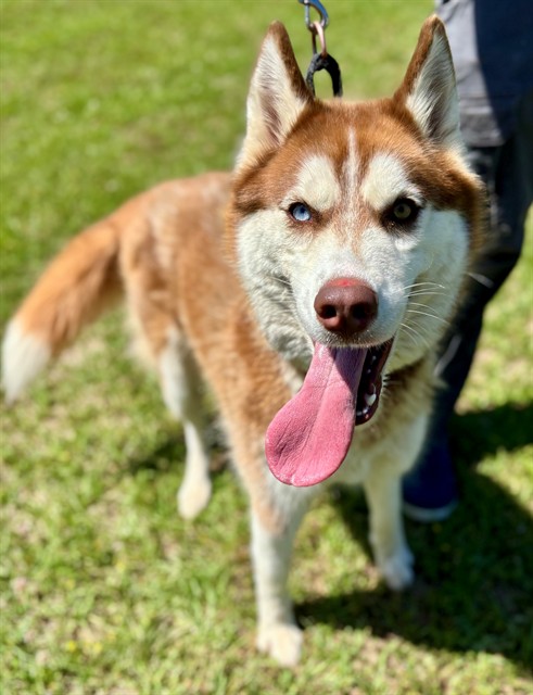 Kumiko