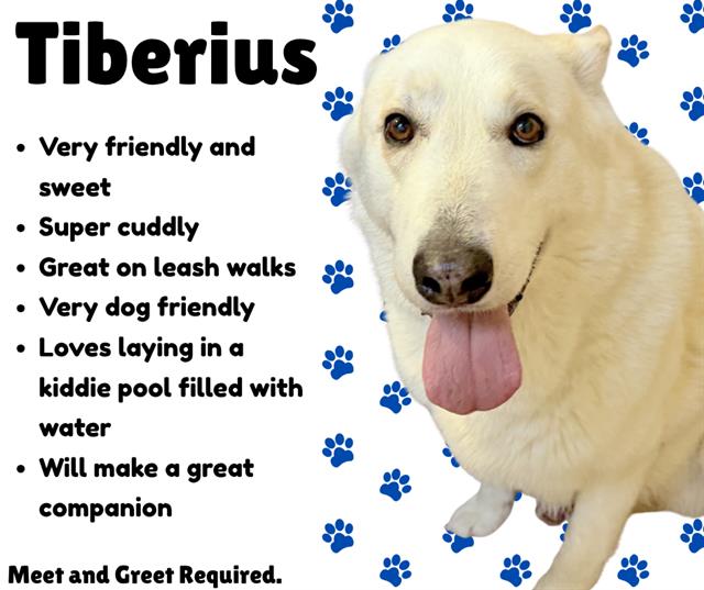Tiberius