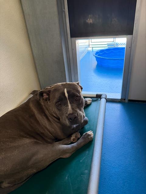 Kelce