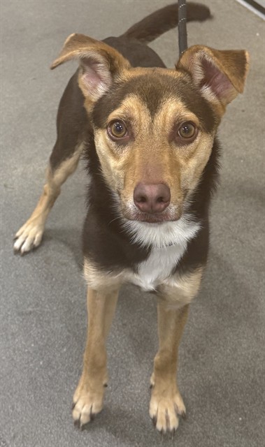 Max