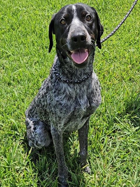 Max