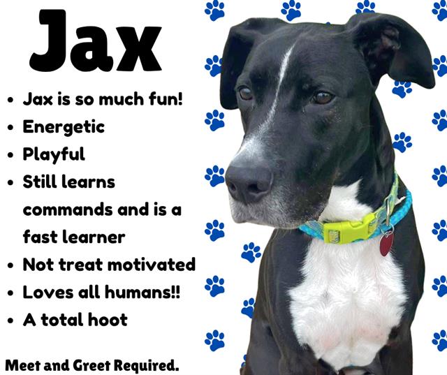 Jax