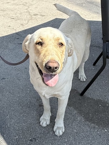 Sam