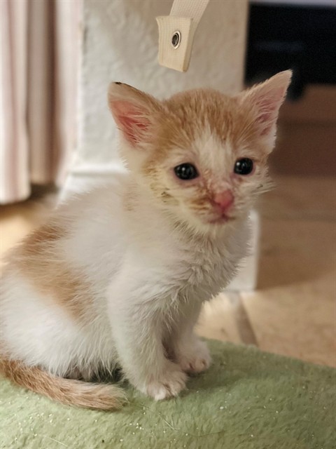Mighty - In Foster