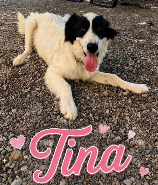 Tina