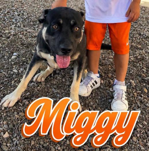 Miggy