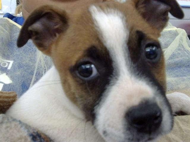 Amy