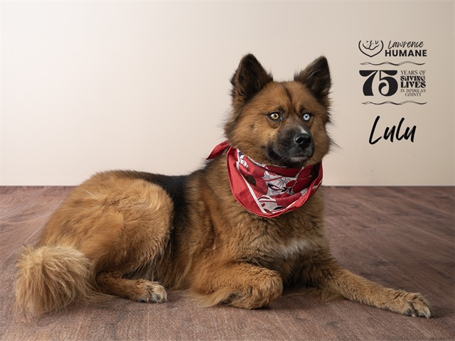 Lulu