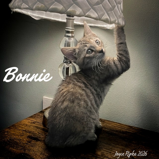 Bonnie