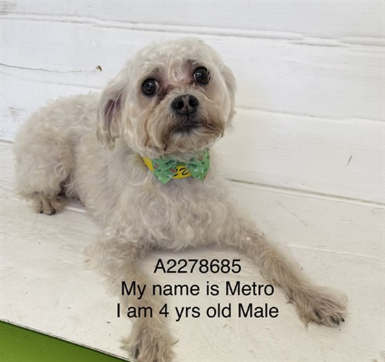 Metro