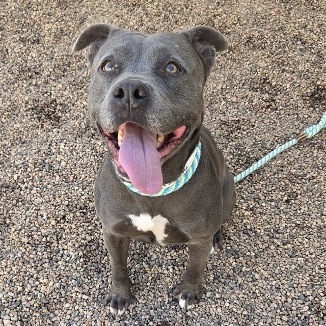 Kali