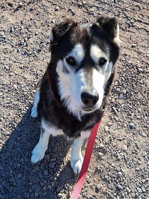 Mika