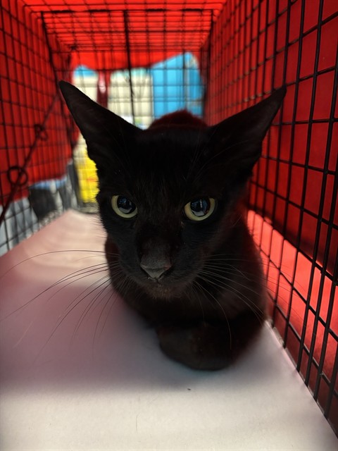Mom