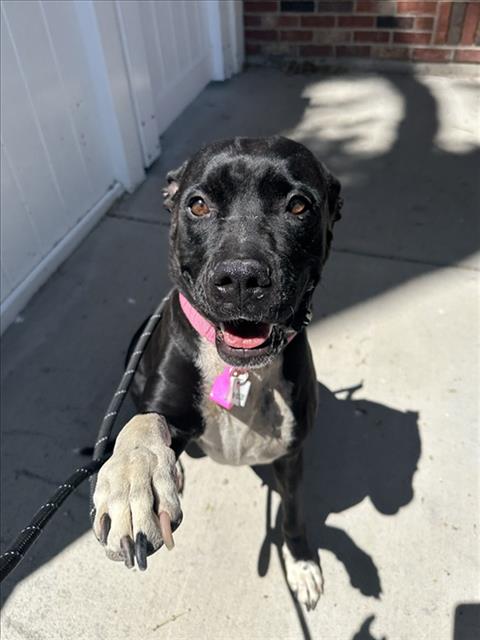 Sophie
