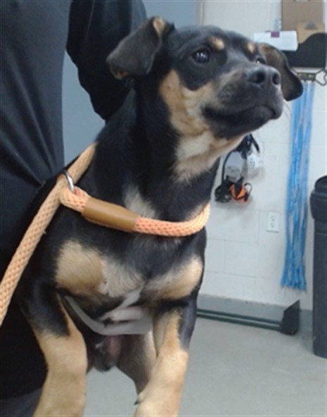 Jax
