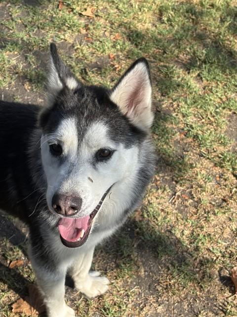 Kira
