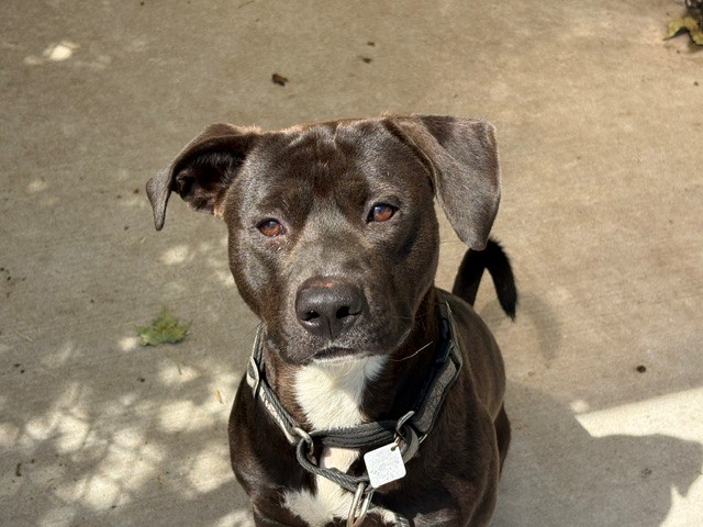 Tucker