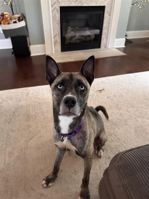 Josie