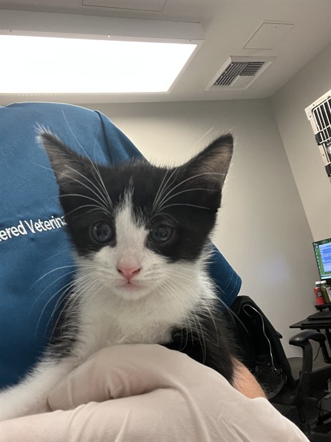 Benny
