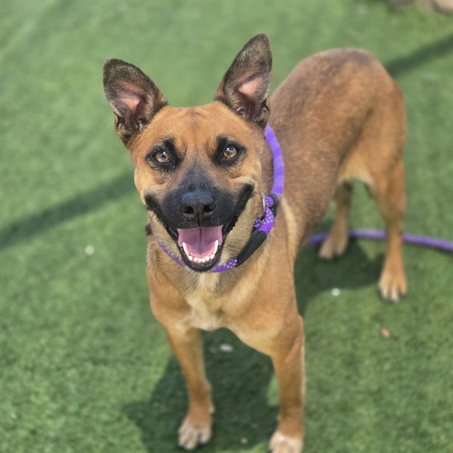 Rosita