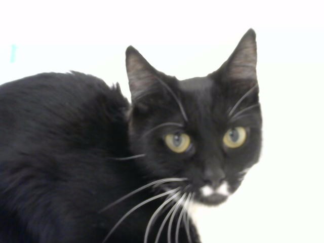 Betty