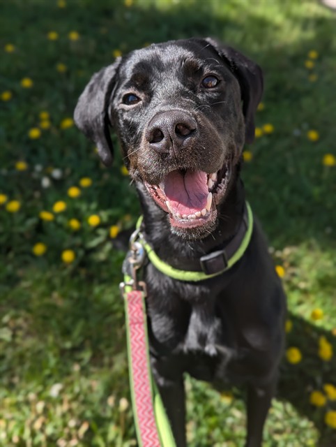 Walter