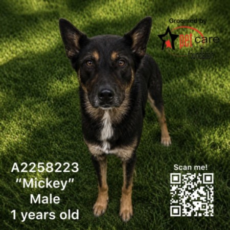 Mickey