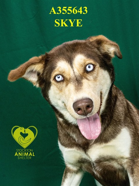 Skye