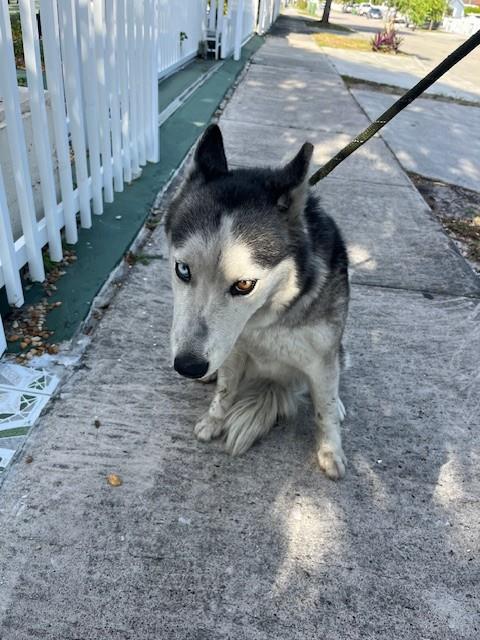 Bella