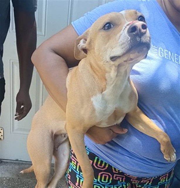 Coco