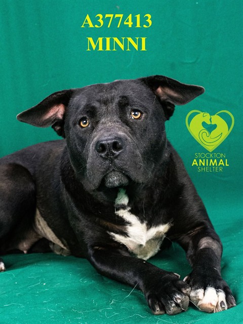 Minnie