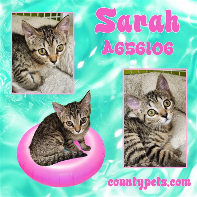 Sarah
