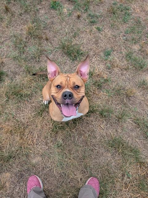 *Gia