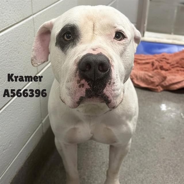 Kramer