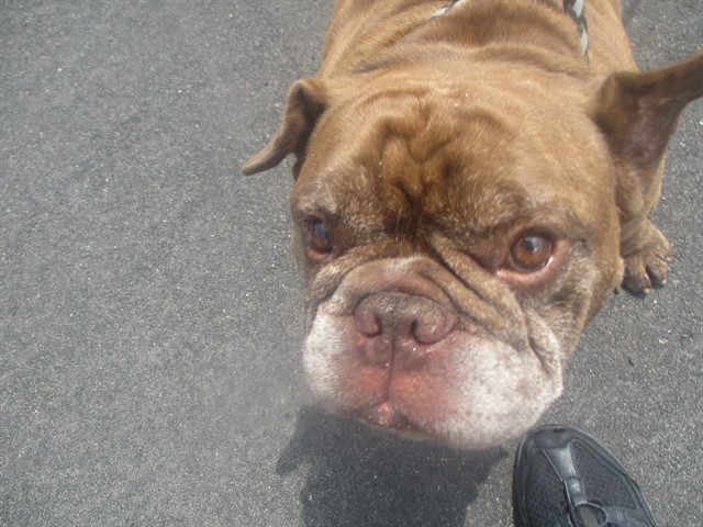 Buster
