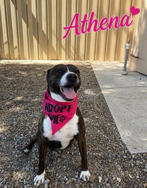 Athena