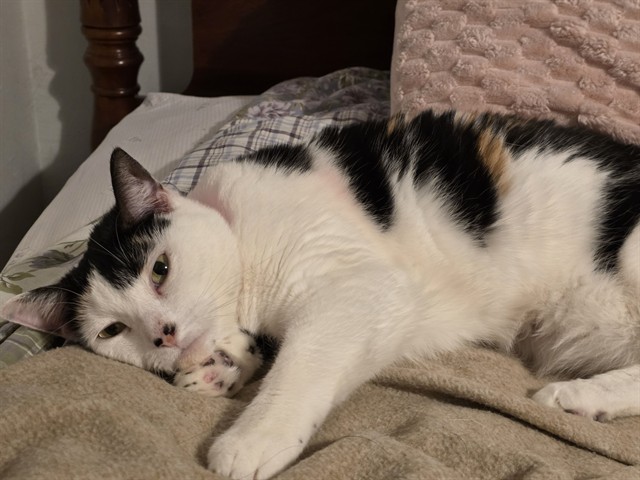 Kiki